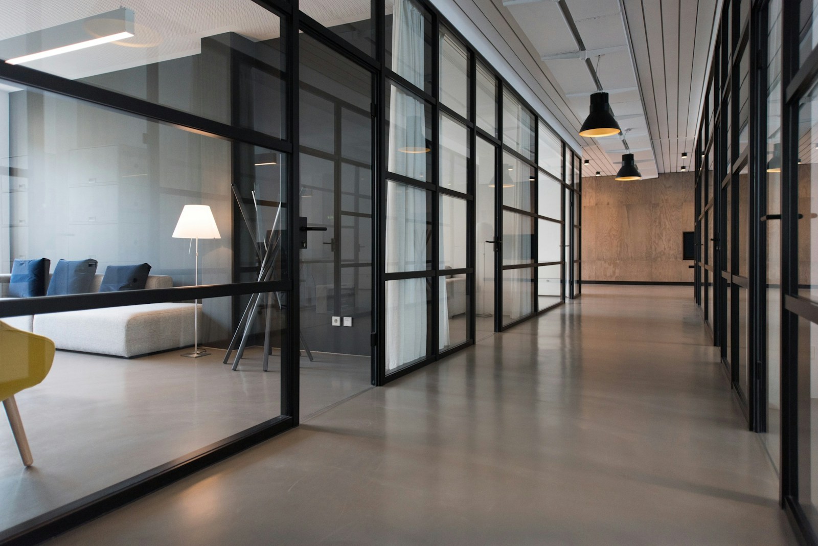Bright modern workspace with meeting areas and room for a growing team